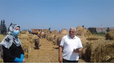 الزراعة: جمع وتدوير أكثر من 2 مليون طن قش الأرز وتنظيم 1827 ندوة ارشادية  في 6 محافظات