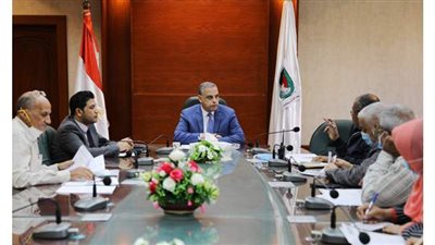 محافظ سوهاج يبحث معوقات مشروع الصرف الصحي لثلاث قرى بطهطا