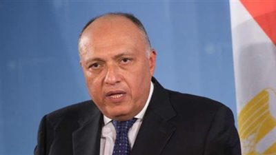 مصر تدين الحادث الإرهابي في العاصمة النمساوية فيينا