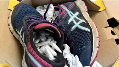 إحباط تهريب 119 عنكبوت بداخل حذاء في الفلبين | صور