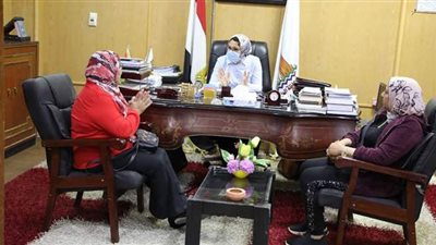 إنشاء نظام معلوماتي جغرافي للحرف اليدوية والمناطق الأثرية بالوادي الجديد