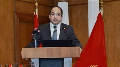 النائب عادل اللمعي: محطة الـ