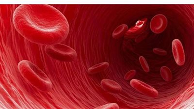 لمرضى سيولة الدم.. 5 طرق لتجنب الإصابة بمخاطر الهيموفيليا