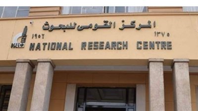 أستاذ بالقومي للبحوث: الحلويات والمقليات والمعجنات تضعف مناعة الجسم