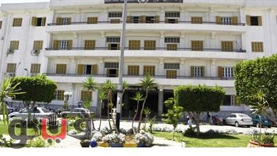 تشكيل «وحدة مناهضة العنف ضد المرأة» بجامعة بني سويف