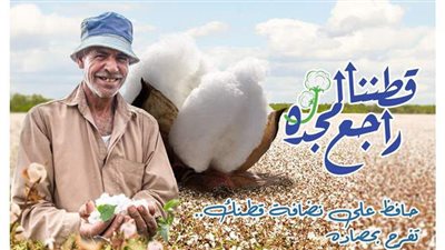 وزير قطاع الأعمال العام يتابع مستجدات عمل منظومة تجارة القطن الجديدة