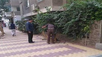 حي العجوزة يرفع إشغالات شارع سلامة الراضي | صور