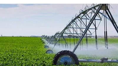 زراعة الوادى الجديد تتلقى 420 طلبا من المزارعين للتحويل للري الحديث