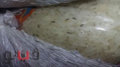 ضبط 58 طن أرز فاسد في بني سويف
