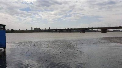 ارتفاع عكارة النيل تتسبب في ضعف المياه بقرية باسوس