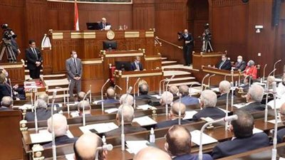 أمين عام الشيوخ: المجلس له حقوق تشريعية بتقديم مشروعات بقوانين