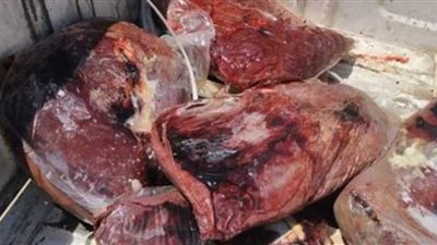 مصادرة 2.66 طن لحوم وكبدة فاسدة داخل ثلاجة بالقاهرة