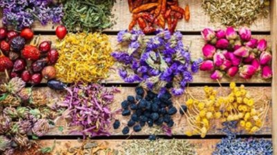 الخلطات العشبية سلاح ذو حدين.. فوائد وأضرار الأعشاب