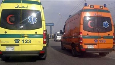 مصرع شاب في حادث تصادم على طريق في الدقهلية