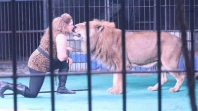 بيت الفنون الشعبية يواصل تقديم برنامج السيرك القومي بالعجوزة | صور