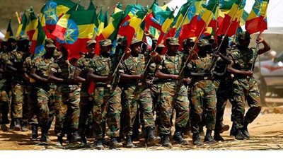 الجيش الإثيوبي: الحكومة دخلت في حرب ضد سلطات منطقة تيجراي المتمردة