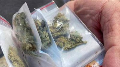 الاستفتاء الوطني النيوزيلندي يفشل في تقنين 