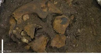 العثور على بقايا طفل مقطوع الأوصال يعود لـ8 آلاف عام