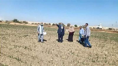 استمرار أعمال لجان تسعير الأراضي ضمن منظومة التقنين بأسيوط | صور