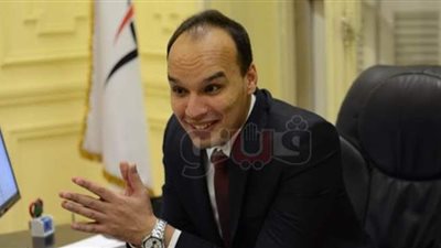 المصريين الأحرار: المجالس المحلية مهمة لحل مشكلات المواطن