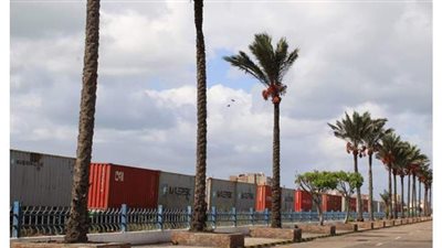 نقل 120 حاوية عبر السكك الحديدية من ميناء الدخيلة إلى العين السخنة