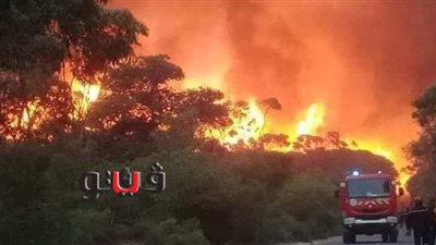 اندلاع حرائق هائلة في عدة مدن جزائرية بنفس التوقيت | فيديو وصور