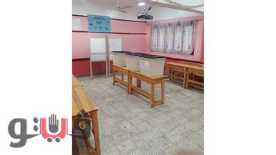 وصول القضاة للجان انتخابات النواب بالدقهلية | صور