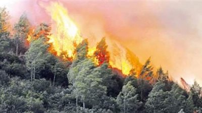 مصرع اثنين وإصابة 10 في حرائق الغابات بالجزائر