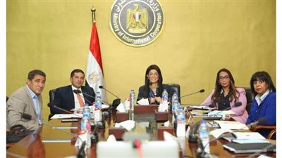 الصندوق السعودي للتنمية: فخورون بأداء شركة مصر لريادة الأعمال