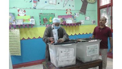 إقبال ملحوظ من السيدات وكبار السن على اللجان الانتخابية بالخصوص