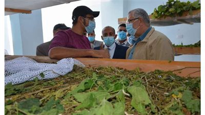 وزيرا الزراعة والري يتفقدان مشروع إنتاج الحرير على مساحة 50 فدانا في الوادى الجديد