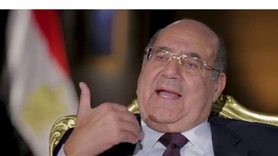 رئيس مجلس الشيوخ يدلي بصوته في الانتخابات البرلمانية بالمعادي| فيديو