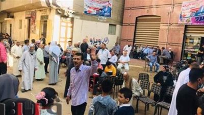 إقبال كثيف من أصحاب الهمم وكبار السن  على لجان انتخابات النواب بالدقهلية | فيديو وصور