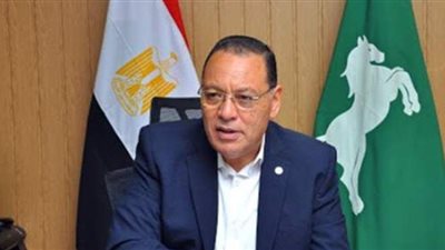 محافظ الشرقية: 75 ألف ناخب أدلوا بأصواتهم في الساعة الأولى لانتخابات النواب | فيديو