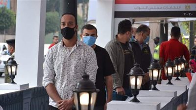 أهالى قرى الغربية يواصلون التوافد على لجان انتخابات النواب | فيديو