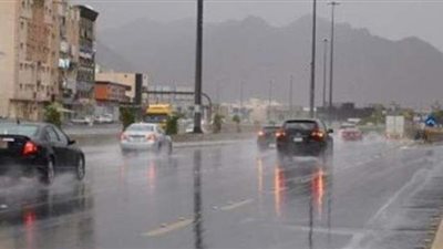 الأرصاد: أمطار  رعدية غزيرة على مطروح والإسكندرية غدا