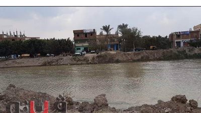 ظهور عكارة بترعة الإسماعيلية.. و