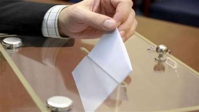 «التحالف المصري»: دعوات مقاطعة انتخابات الرئاسة تخدم أعداء مصر