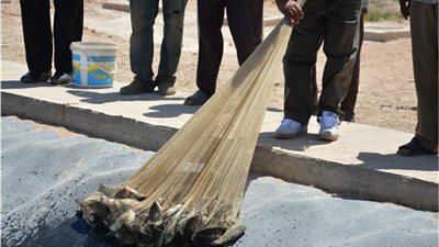 أبرز مشروعات التنمية المتكاملة في جنوب سيناء (صور)