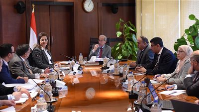 شريف إسماعيل يبحث مع وزيرة التخطيط إستراتيجية «مصر ٢٠٣٠»