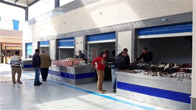 سوق الأسماك الجديد ببورسعيد يفتح أبوابه للمواطنين (صور)