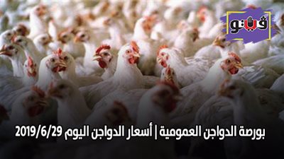 بورصة الدواجن العمومية | اسعار الدواجن اليوم 2019/6/29