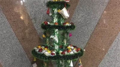 البيئة تصمم شجرة كريسماس صديقة للبيئة احتفالا بالعام الجديد | صور