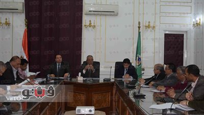 المنيا تستعد لموسم حصاد القمح وفتح الشون الترابية كنقاط تجميع