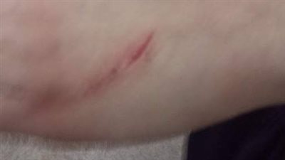 مدارس الخصوص في قبضة البلطجية وسط انعدام الرقابة «تقرير»