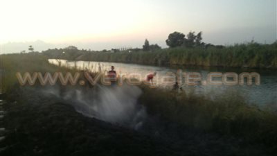 بالصور.. رجال «البيئة» بالبحيرة يسيطرون على حريق هدد السكة الحديد