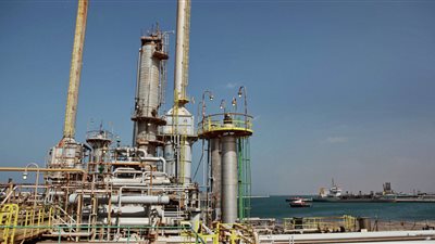 أردوغان يطمئن ماكرون بشأن عملية عفرين: لا نطمع في أراضي دولة أخرى