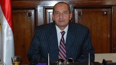 وزير الزراعة يسمح بدخول القمح المصاب بالأرجوت إلى مصر