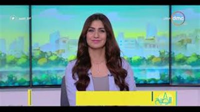 الأرصاد: انخفاض في درجات حرارة اليوم.. والعظمى في القاهرة 32 (فيديو)