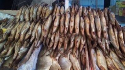 تموين بورسعيد: ضبط نصف طن رنجة وفسيخ غير صالح للاستخدام الآدمي